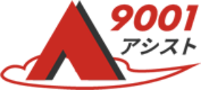 9001シスト